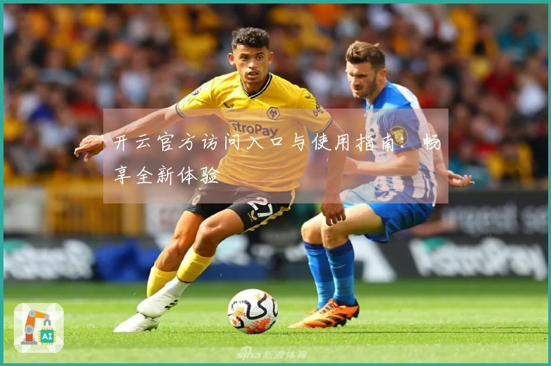 开云官方访问入口与使用指南：畅享全新体验