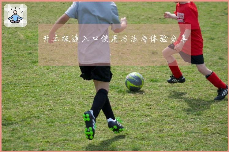 开云极速入口使用方法与体验分享