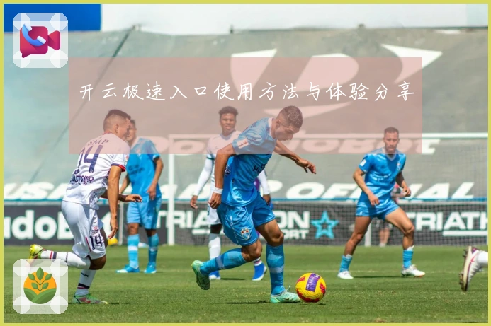 开云极速入口使用方法与体验分享